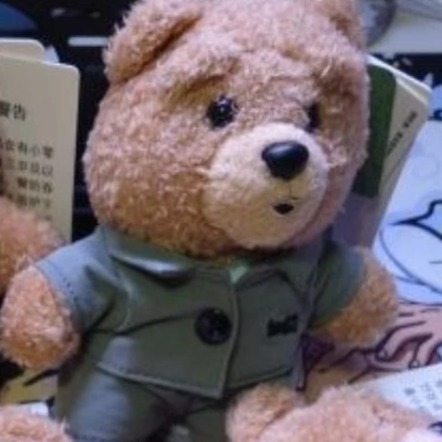 【全新現貨】娃娃 ted2 熊麻吉 正版雷標 泰迪熊 玩偶 絨毛吊飾 15公分 浴袍 花襯衫 網球服 籃球服 正版雷標-規格圖3