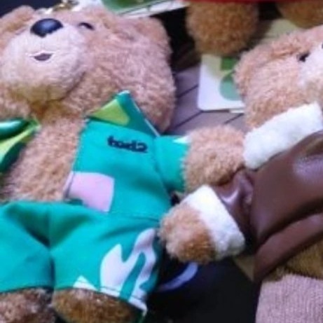 【全新現貨】娃娃 ted2 熊麻吉 正版雷標 泰迪熊 玩偶 絨毛吊飾 15公分 浴袍 花襯衫 網球服 籃球服 正版雷標-規格圖3