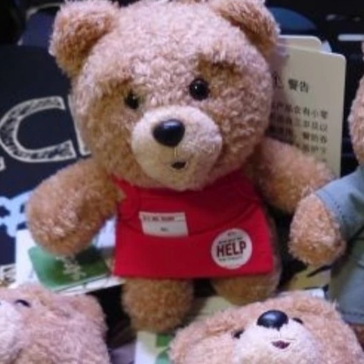 【全新現貨】娃娃 ted2 熊麻吉 正版雷標 泰迪熊 玩偶 絨毛吊飾 15公分 浴袍 花襯衫 網球服 籃球服 正版雷標-規格圖3
