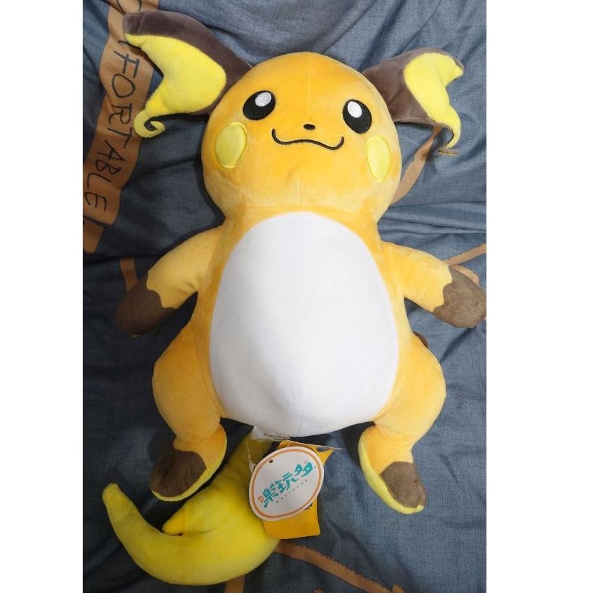 【正版現貨】 寶可夢 POKEMON 神奇寶貝 甲賀忍蛙 水劍龜 雷伊布 伊布 噴火龍 超級噴火龍Y 玩偶 寶可夢娃娃-細節圖6