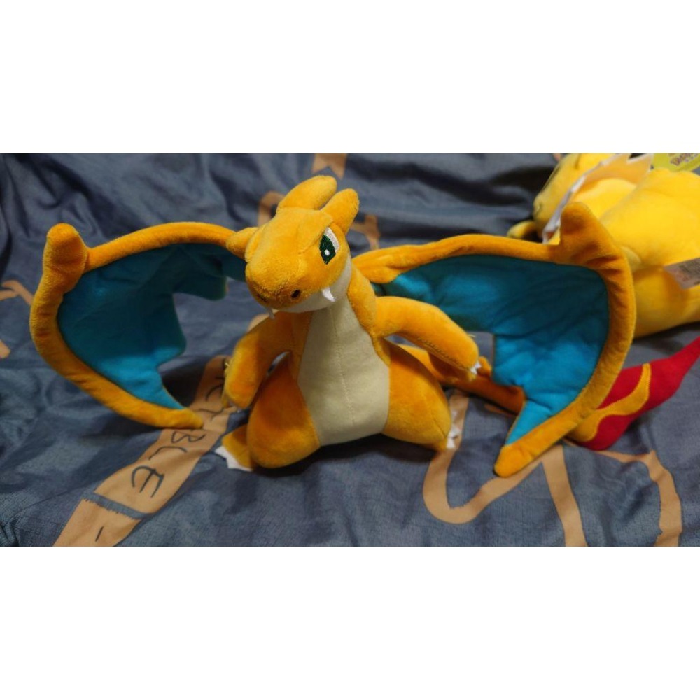 【正版現貨】 寶可夢 POKEMON 神奇寶貝 甲賀忍蛙 水劍龜 雷伊布 伊布 噴火龍 超級噴火龍Y 玩偶 寶可夢娃娃-細節圖7