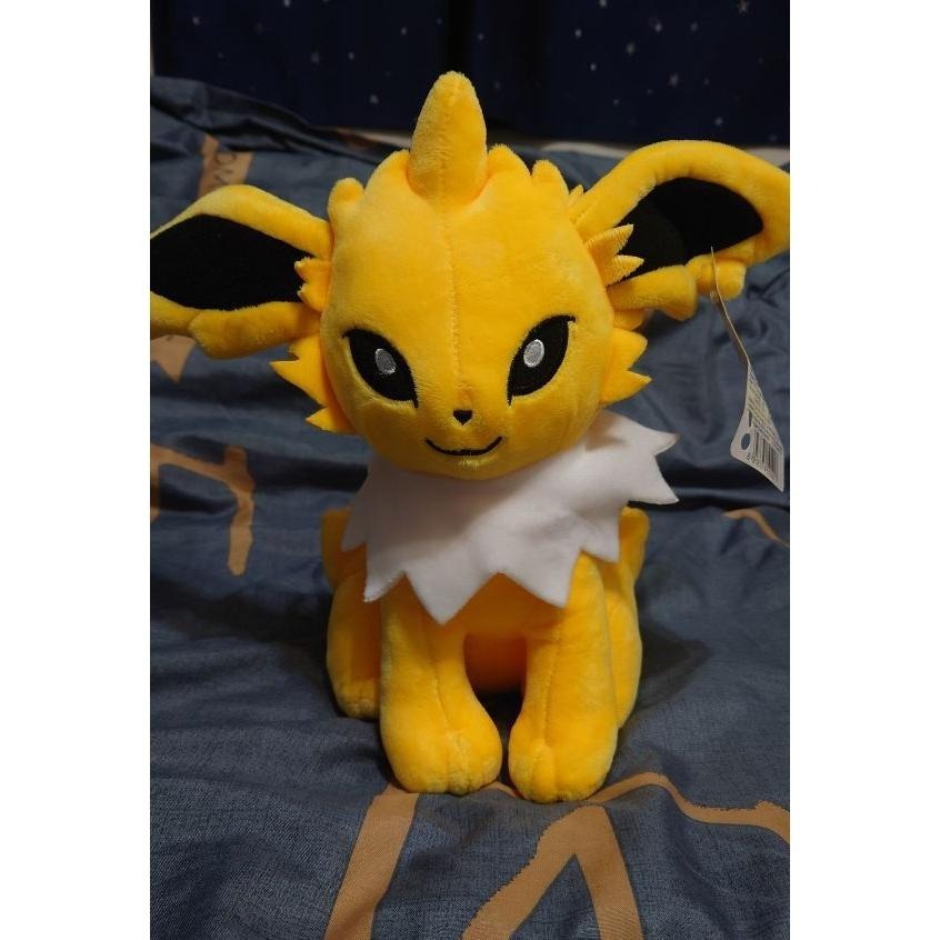 【正版現貨】 寶可夢 POKEMON 神奇寶貝 甲賀忍蛙 水劍龜 雷伊布 伊布 噴火龍 超級噴火龍Y 玩偶 寶可夢娃娃-細節圖5