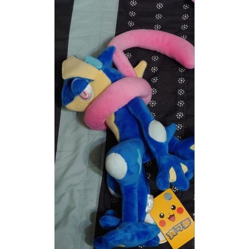 【正版現貨】 寶可夢 POKEMON 神奇寶貝 甲賀忍蛙 水劍龜 雷伊布 伊布 噴火龍 超級噴火龍Y 玩偶 寶可夢娃娃-細節圖9