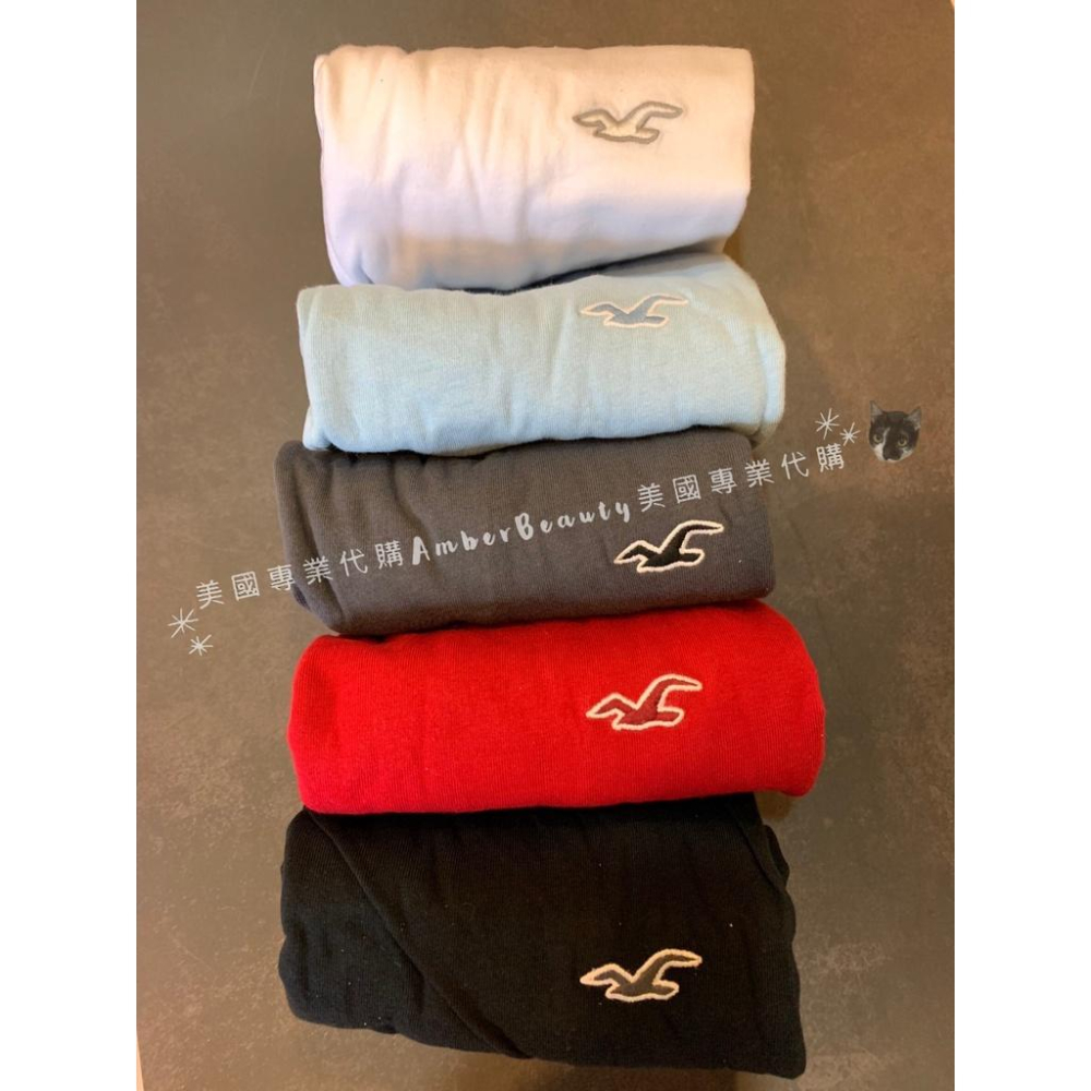 【美國直購正品】Hollister crewneck 經典海鷗logo 男女款 圓領棉T 情人節 禮物 大尺寸 父親節-細節圖2