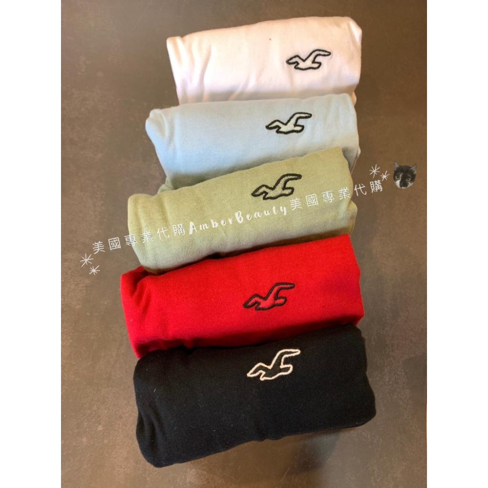 【美國直購正品】Hollister crewneck 經典海鷗logo 男女款 圓領棉T 情人節 禮物 大尺寸 父親節-細節圖3