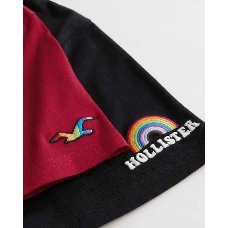【美國直購正品 現貨】Hollister 經典 刺繡 彩虹logo圓領T 七色 單件 男女款 pride 大尺寸 父親節-細節圖2