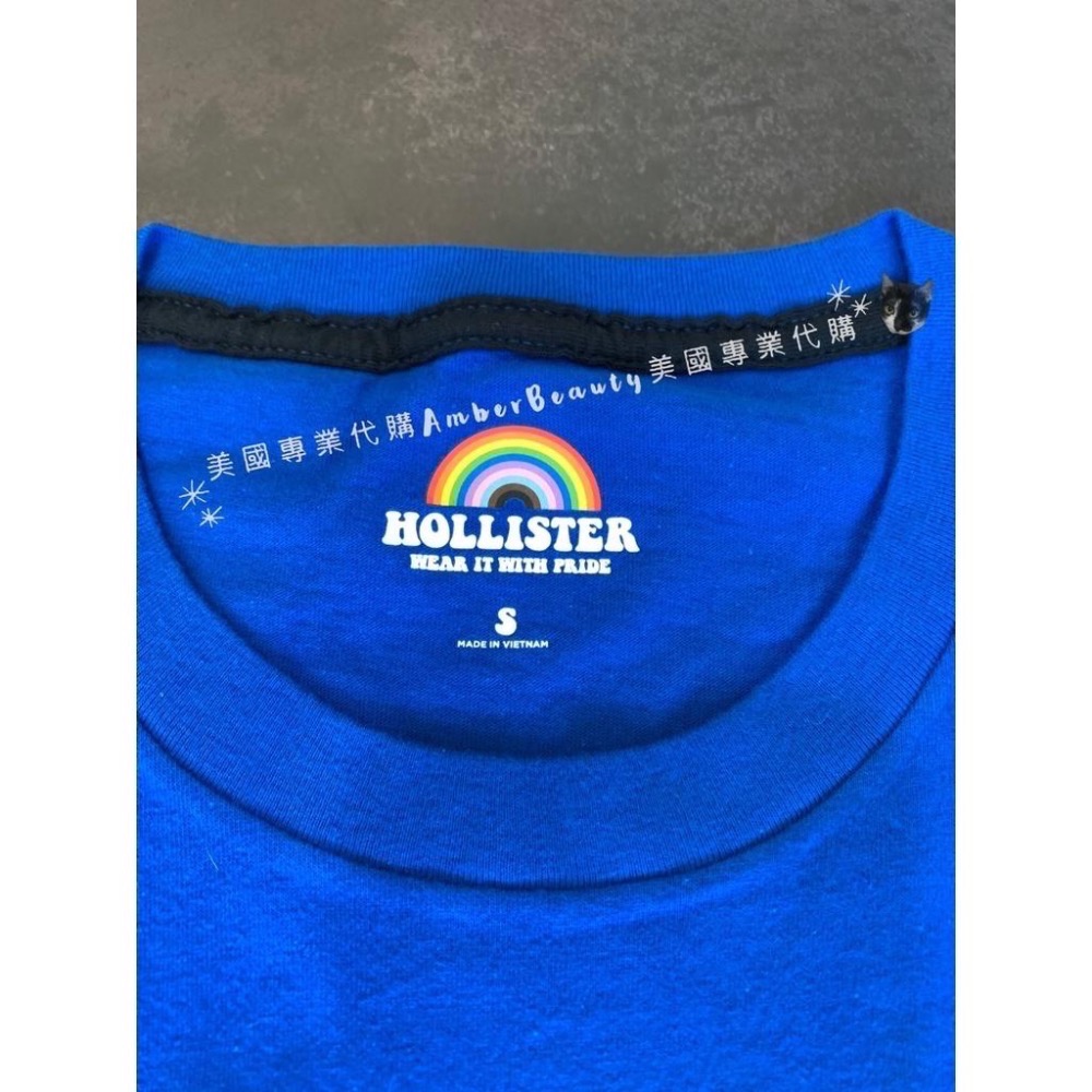【美國直購正品 現貨】Hollister 經典 刺繡 彩虹logo圓領T 七色 單件 男女款 pride 大尺寸 父親節-細節圖8