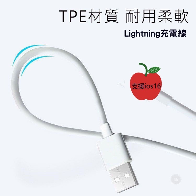 TYPE-c 快充線 Apple iPhone PD 充電線 iPhone 12 13 11傳輸線 蘋果充電線 p-細節圖7