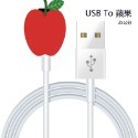 USB To 蘋果 25公分