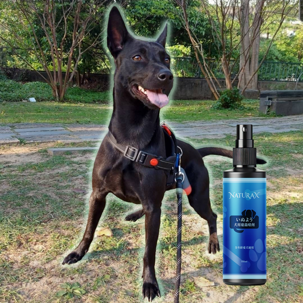 NaturaX天然植萃愛犬避蟲防護噴劑-細節圖4