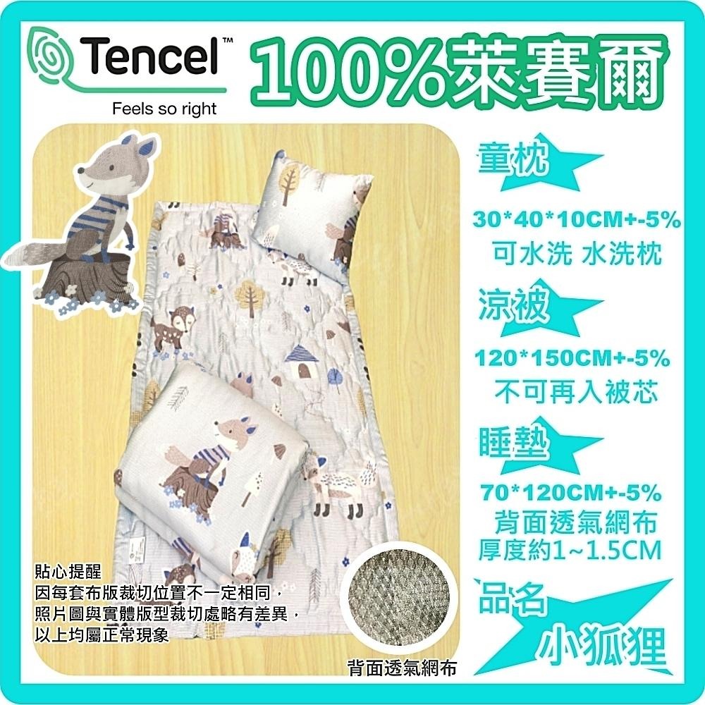 [Tendis]👶100%萊賽爾兒童睡墊三件組👶(附天絲吊牌)-細節圖6