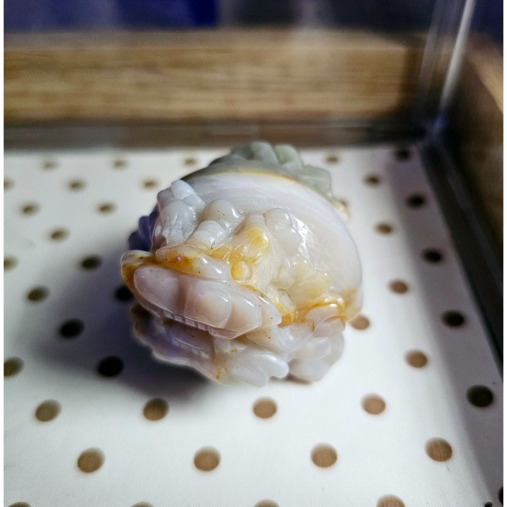 嗡嗡水晶礦寶小舖-海洋碧玉龍龜-細條紋衣文青綠褲-細節圖5