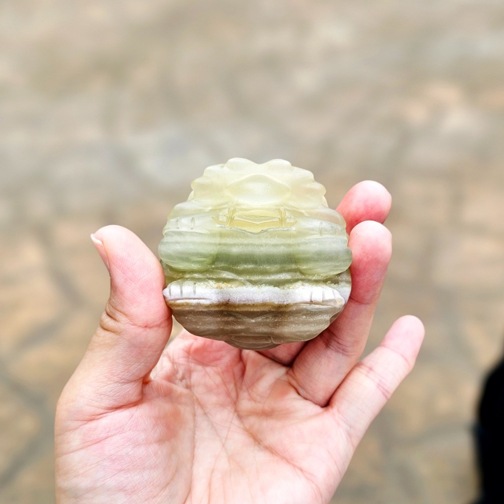 〔嗡嗡水晶礦寶小舖〕絲綢螢石龍龜-青草舒服-細節圖6