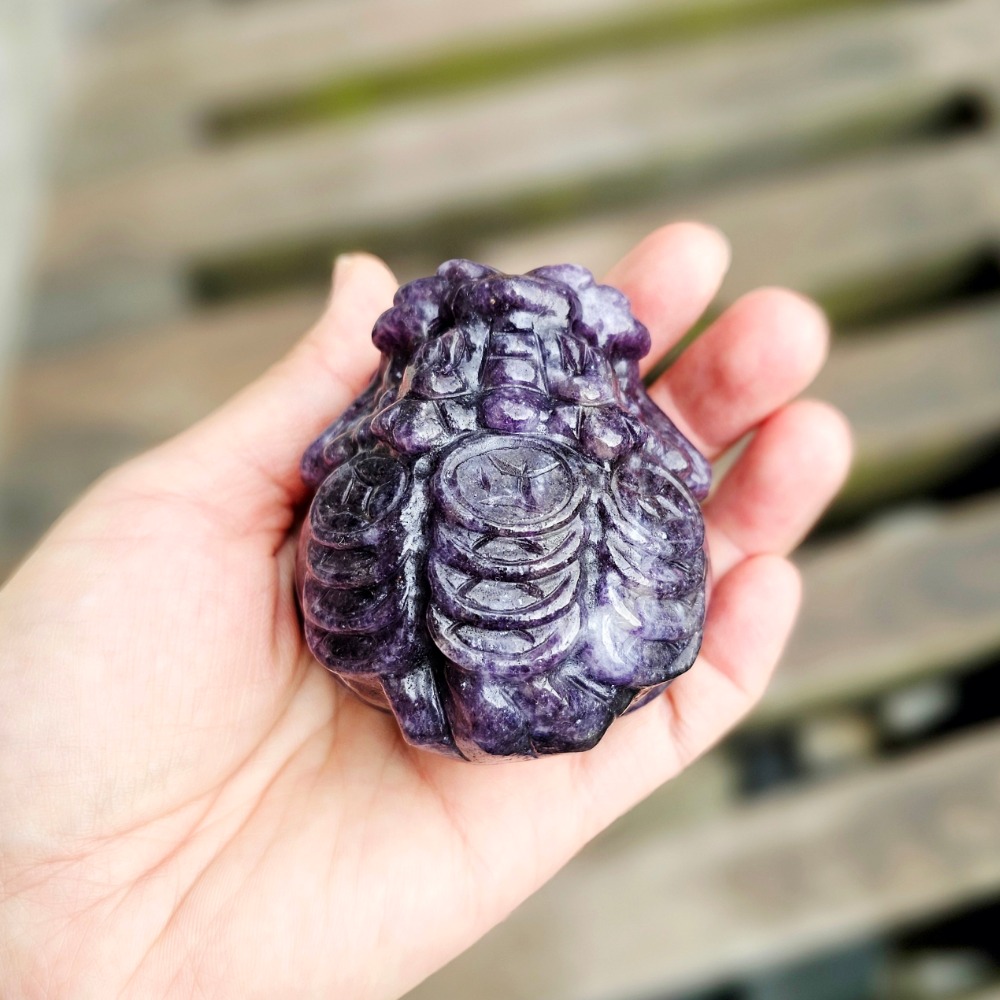 〔嗡嗡水晶礦寶小舖〕紫雲母錢幣龍龜-三排錢幣龍龜-細節圖9