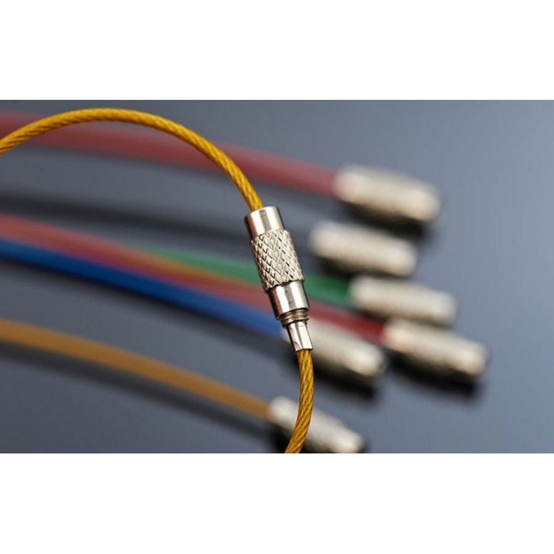 【買一送一】不鏽鋼鑰匙圈 索鑰匙圈 不鏽鋼 吊飾 吊牌 彩色鋼索鑰匙圈 多功能鋼索環 行李牌吊繩  小紅書同款 生日禮物-細節圖5