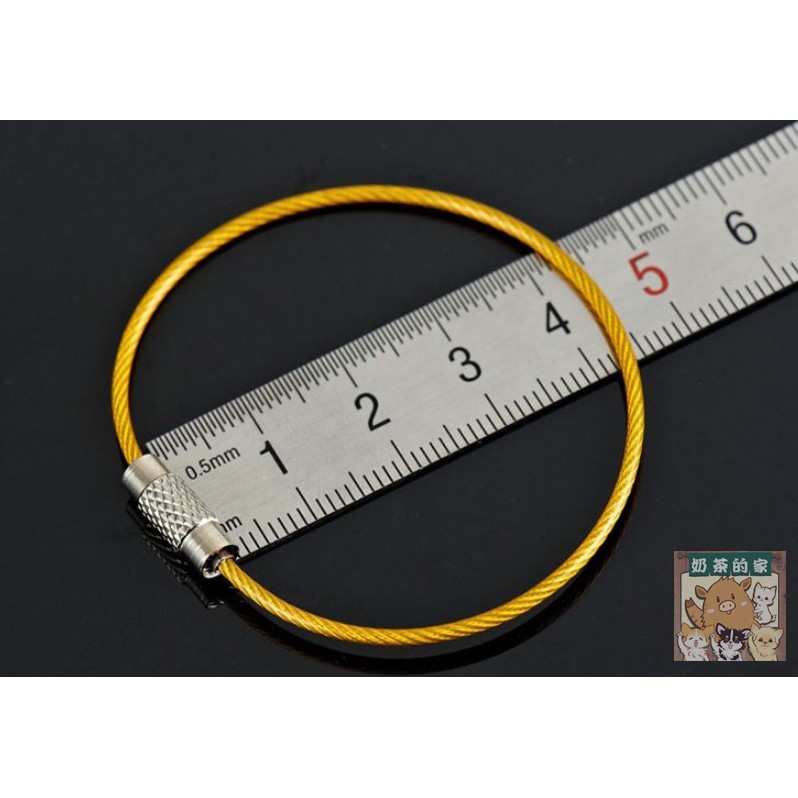 【買一送一】不鏽鋼鑰匙圈 索鑰匙圈 不鏽鋼 吊飾 吊牌 彩色鋼索鑰匙圈 多功能鋼索環 行李牌吊繩  小紅書同款 生日禮物-細節圖7