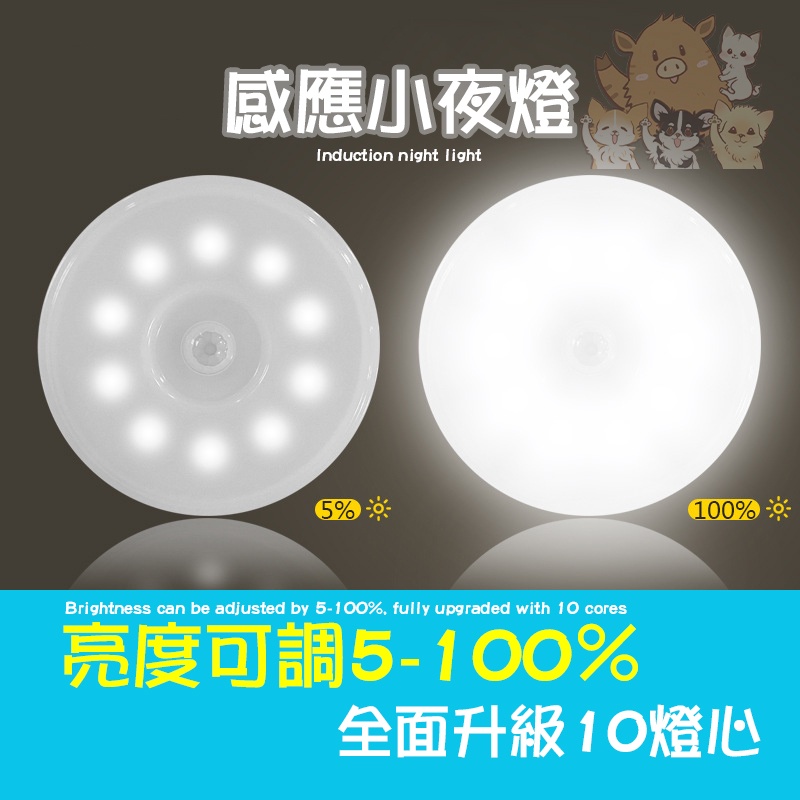 🔥升級版10顆LED🔥感應燈 強磁吸附感應燈 人體感應燈 感應小夜燈 USB充電 玄關燈 櫥櫃 小紅書同款 生日禮物-細節圖2