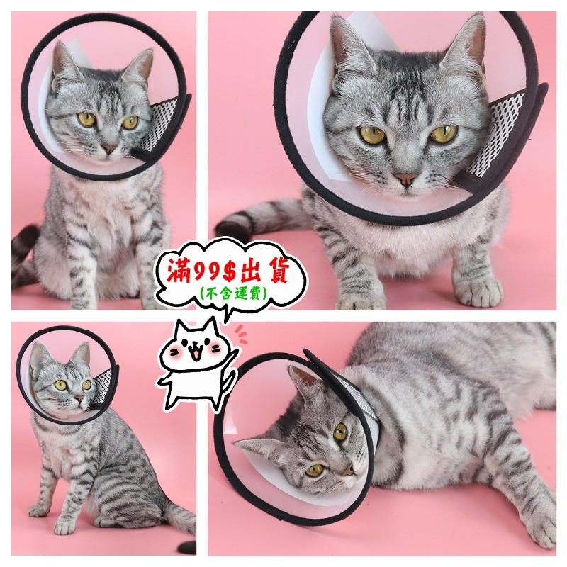 脖圍 黑邊透明保護套 魔鬼氈式 寵物保護頸圈 頭套 術後防舔咬 伊莉莎白 寵物保護套 防咬圈 防抓 小紅書同款 生日禮物-細節圖2