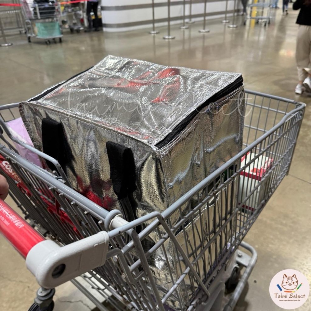 現貨🚚保冷折疊購物車 浩肯購物車 折疊滾輪購物車 戶外折疊手拉車 有輪購物車 買菜推車 買菜購物車 手提推車 露營推車-細節圖5