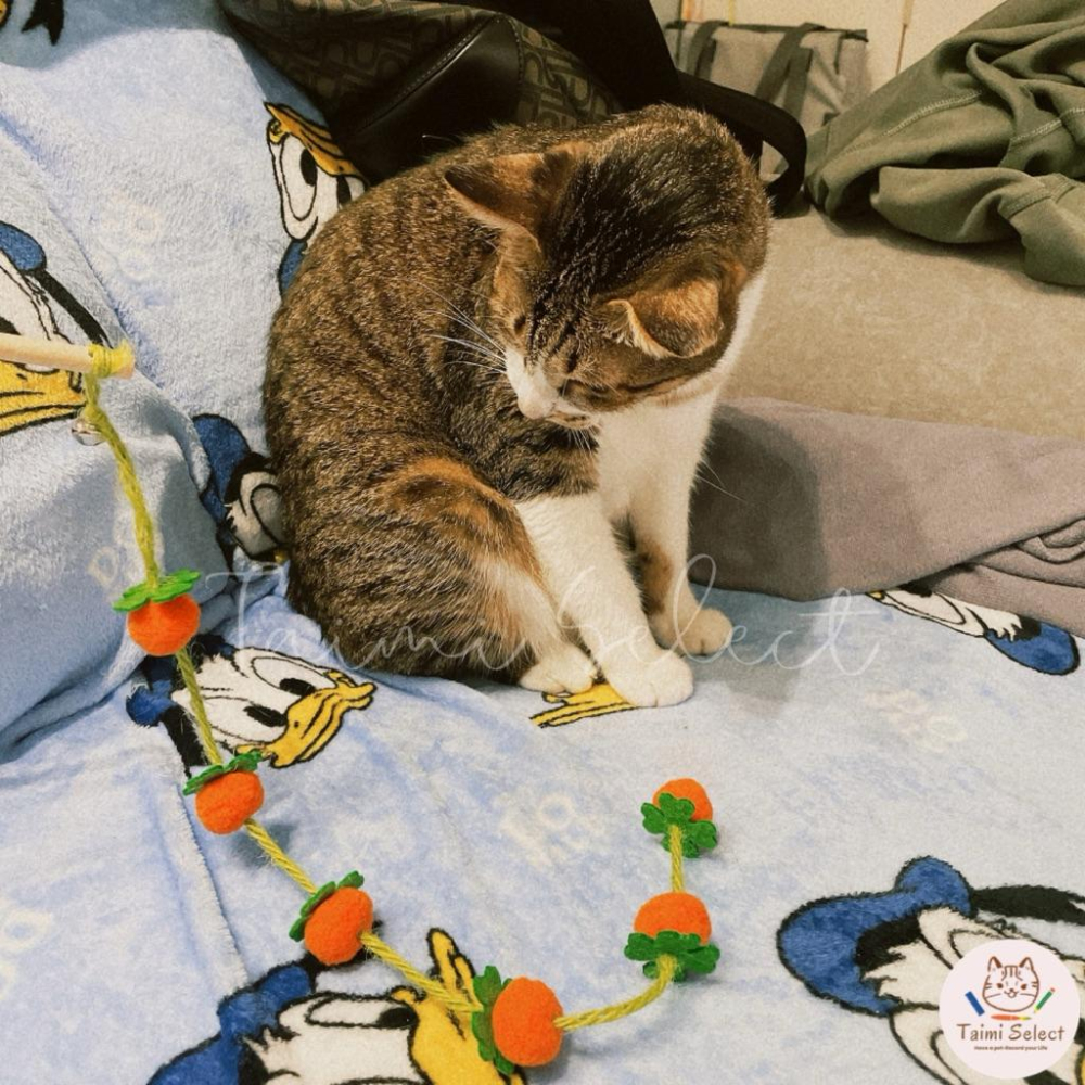 現貨🚚小清新逗貓棒 柿子逗貓棒 茄子逗貓棒 超可愛逗貓棒-細節圖2