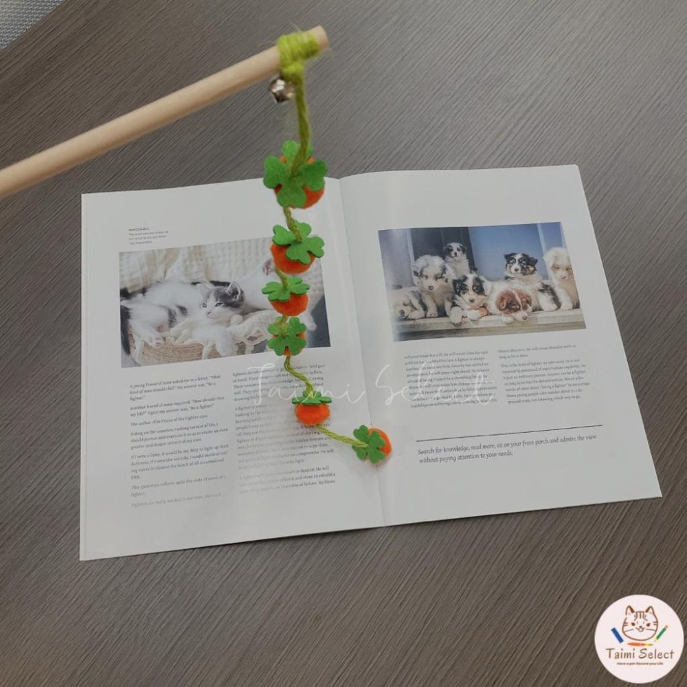 現貨🚚小清新逗貓棒 柿子逗貓棒 茄子逗貓棒 超可愛逗貓棒-細節圖5