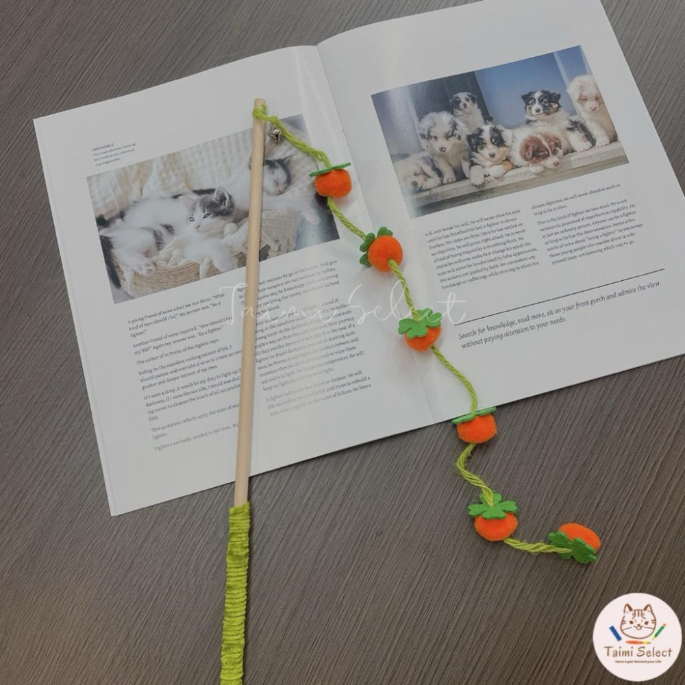 現貨🚚小清新逗貓棒 柿子逗貓棒 茄子逗貓棒 超可愛逗貓棒-細節圖6