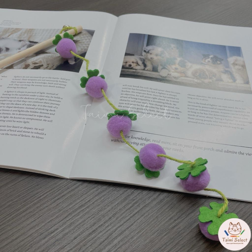 現貨🚚小清新逗貓棒 柿子逗貓棒 茄子逗貓棒 超可愛逗貓棒-細節圖7