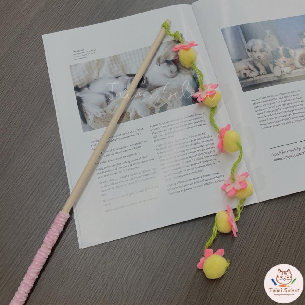 現貨🚚小清新逗貓棒 柿子逗貓棒 茄子逗貓棒 超可愛逗貓棒-細節圖8