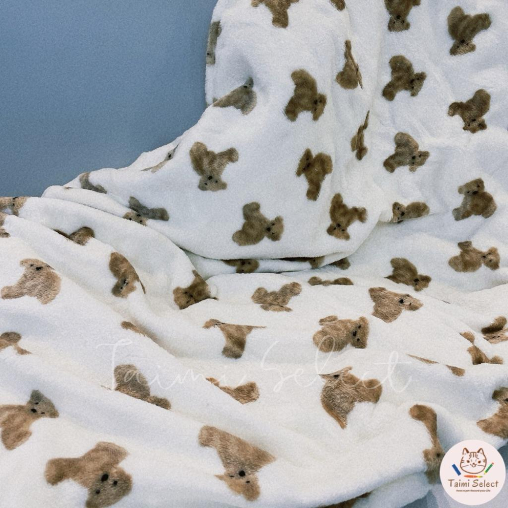 現貨🚚小熊絨毛毯 泰迪熊毯子 牛奶毯 絨毛毯子 熊熊法蘭絨毯🧸-細節圖2