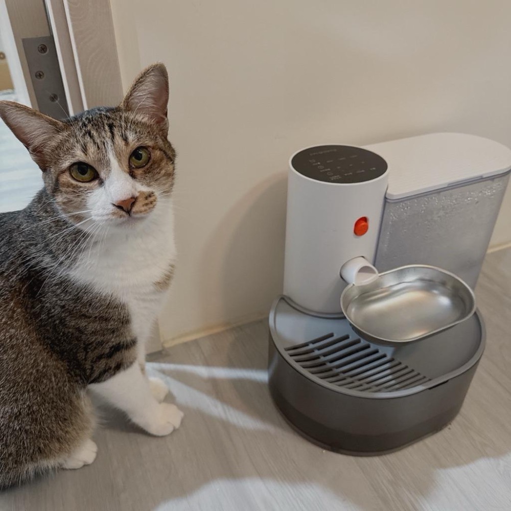 現貨🐈寵有引力 不鏽鋼水碗 無線自動飲水機配件不鏽鋼自動換水飲水機 寵物飲水機 傾倒式貓咪飲水機充電式自動餵水器-細節圖2