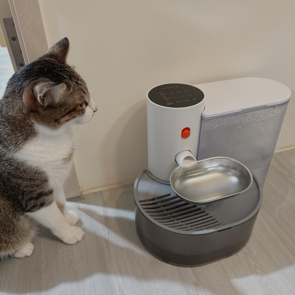 現貨🐈寵有引力 不鏽鋼水碗 無線自動飲水機配件不鏽鋼自動換水飲水機 寵物飲水機 傾倒式貓咪飲水機充電式自動餵水器-細節圖3