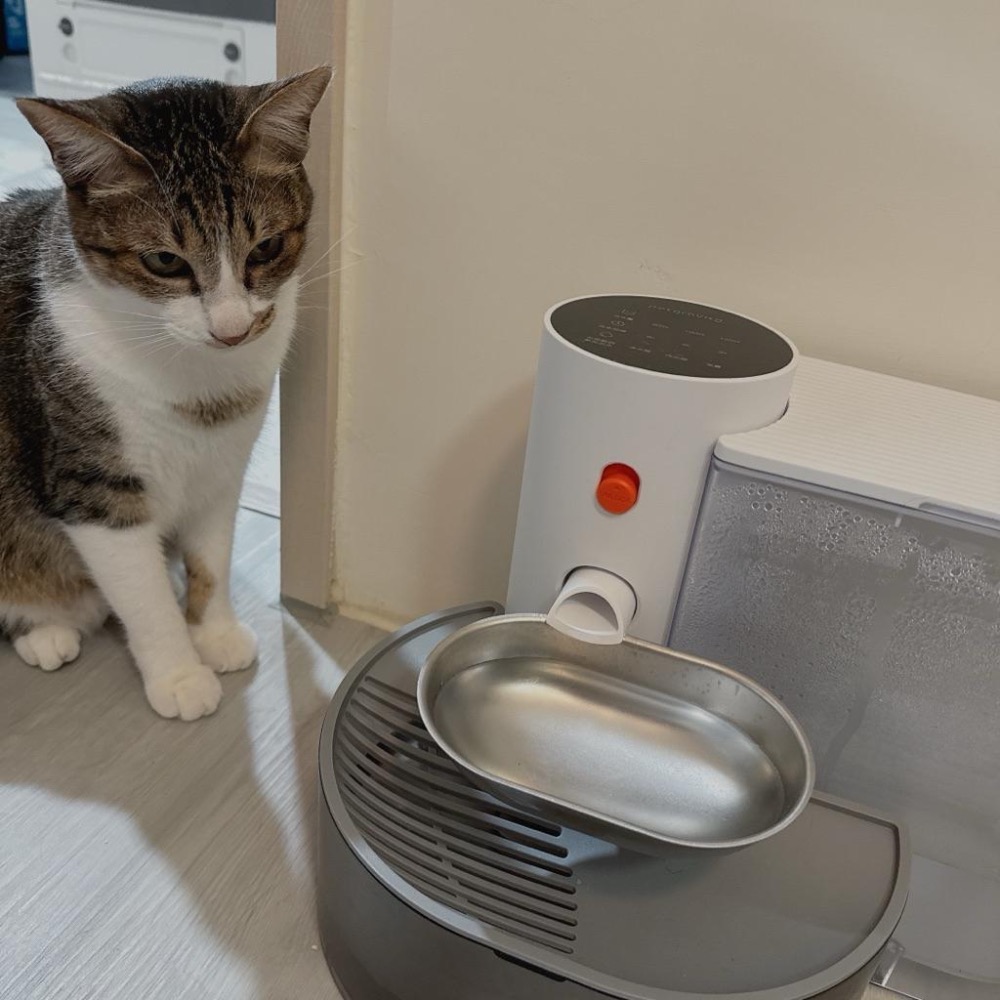 現貨🐈寵有引力 不鏽鋼水碗 無線自動飲水機配件不鏽鋼自動換水飲水機 寵物飲水機 傾倒式貓咪飲水機充電式自動餵水器-細節圖4