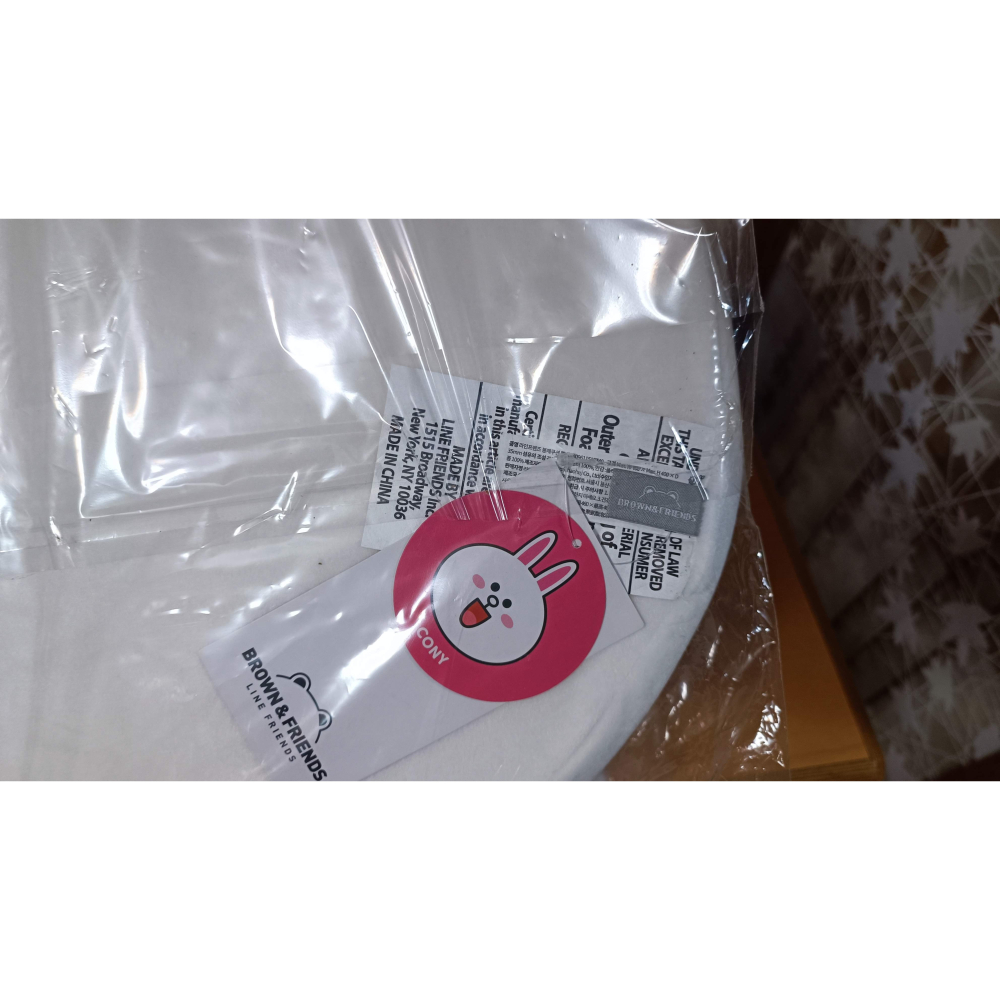 Line Friends 官方正版兔兔坐墊-細節圖2