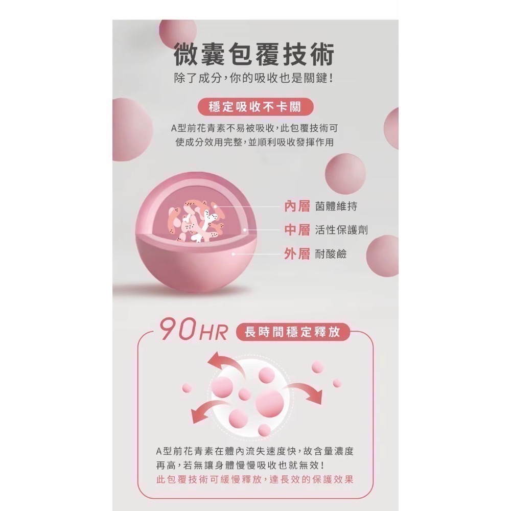 玫莓雙效益生菌膠囊 (單入)-細節圖8