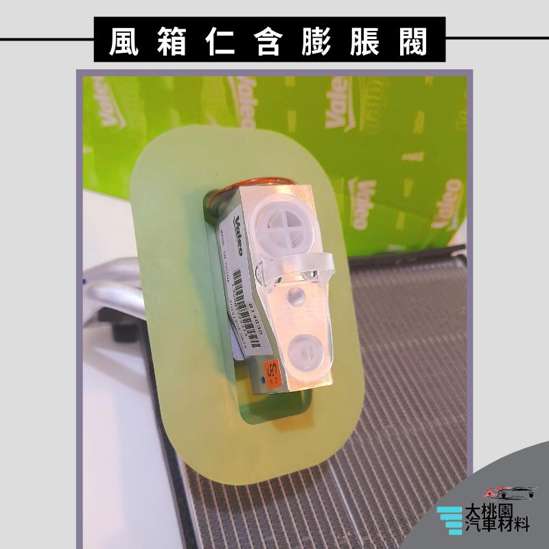 ➶大桃園汽車材料➶日產 VALEO 裕隆 TIIDA 13- 風箱仁 冷氣風箱仁含膨脹閥 汽車 蒸發器-細節圖4