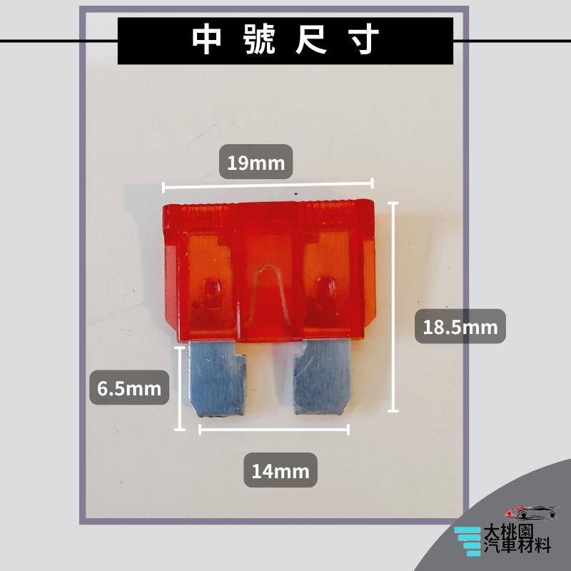 ➶大桃園汽車材料➶通用型保險絲 M型保險絲 插式保險絲 汽車保險絲 貨車保險絲 車用保險絲 保險絲-細節圖3