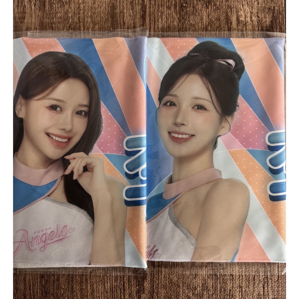 2025 2026 富邦勇士 Fubon Angels 李雅英 李皓禎 南珉貞 寶兒 影像 應援毛巾 全新未拆-細節圖2