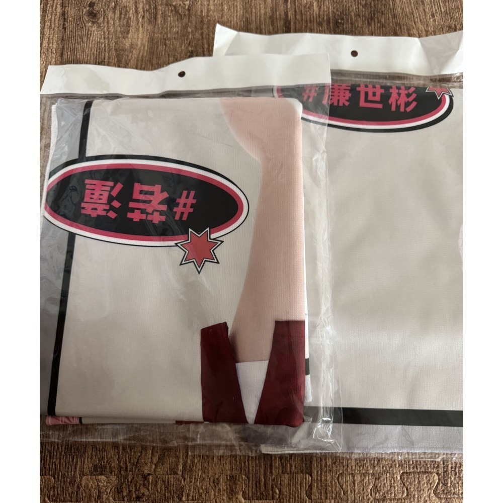 2025 樂天桃猿 樂天女孩 Rakuten Girls 河智媛 禹洙漢 廉世彬 嘎琳 影像 大型 應援毛巾 全新未拆-細節圖3