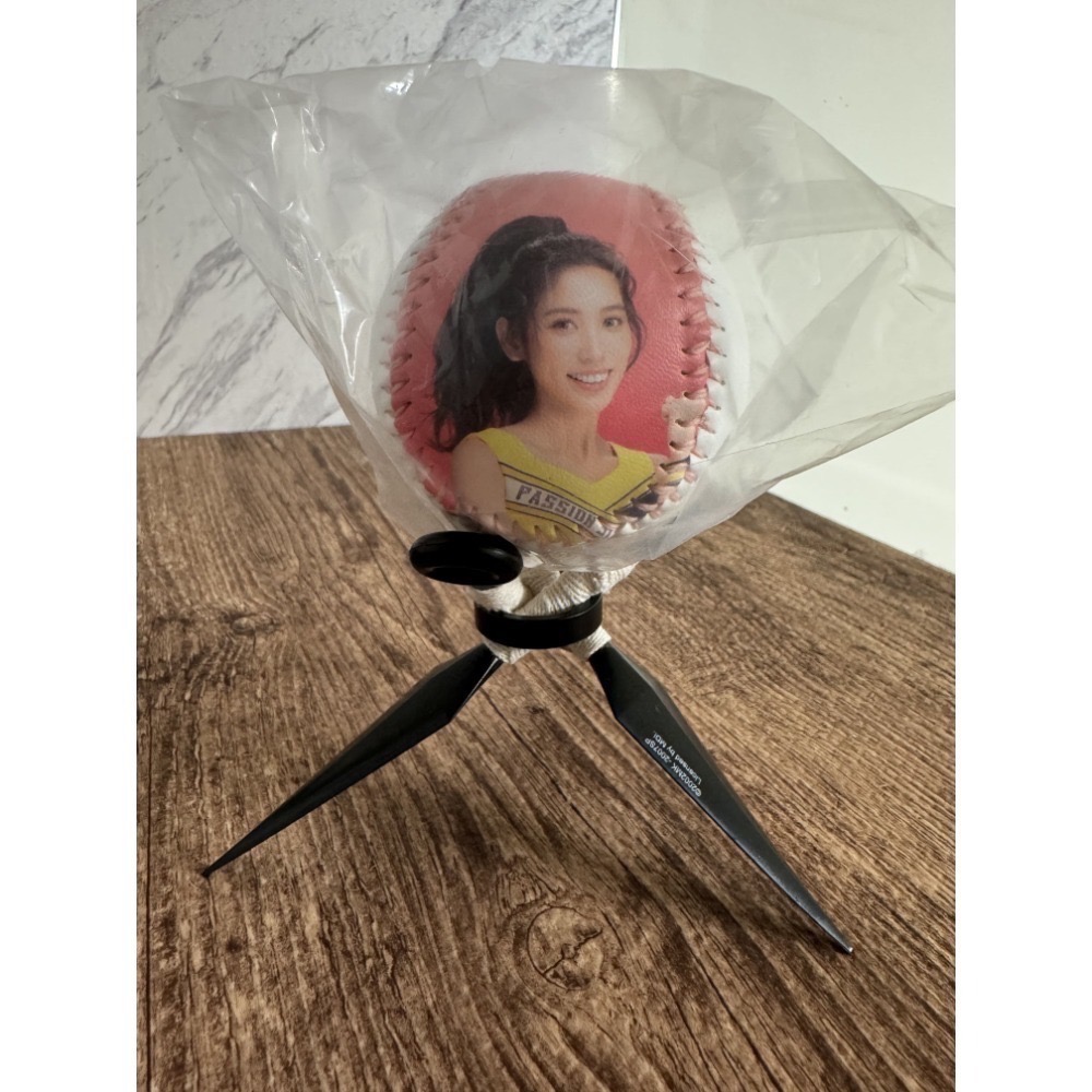 2024 中信兄弟 Passion Sisters 邊荷律 李丹妃 曼容 小迪 少鹽 貴貴 晴兒 妮可 肖像球 全新未拆-規格圖4