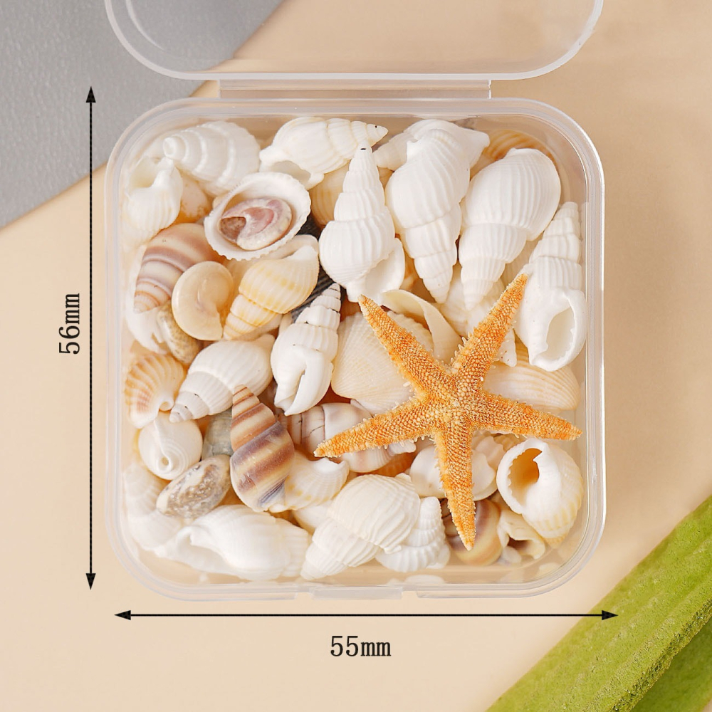 天然海螺貝殼 海星 小海螺 貝殼 海洋風 填充物材料 水晶滴膠 奶油膠  DIY配件-細節圖2
