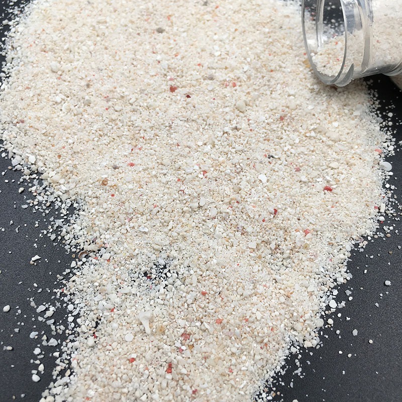 天然白色珊瑚沙 水晶滴膠 DIY海洋風格 微景觀海洋沙 瓶裝-細節圖2