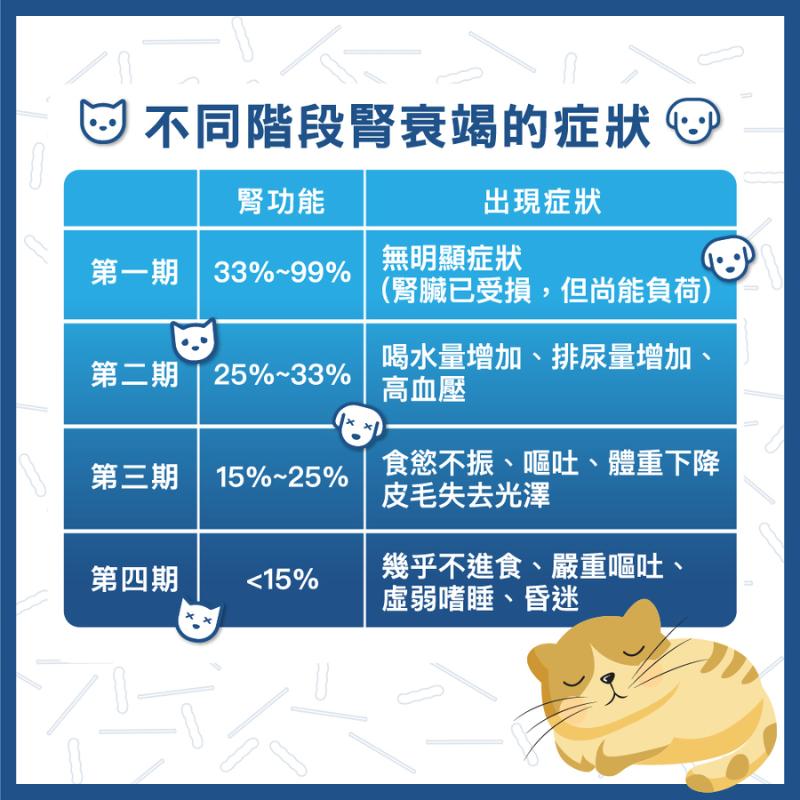 ⚡送+免運⚡【BAOHU寶護】寶聖能寵物用益生菌 30粒/盒 ｜LM菌株  貓犬適用 【⽯牌有間藥局】-細節圖4