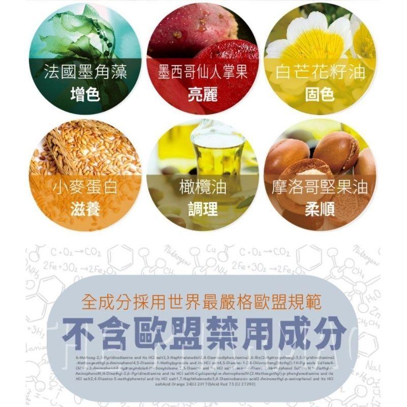 ⚡ 單件免運⚡ 樹飛雪  髮學院染髮霜｜配件齊全包｜八款顏色可任選【⽯牌有間藥局】-細節圖4