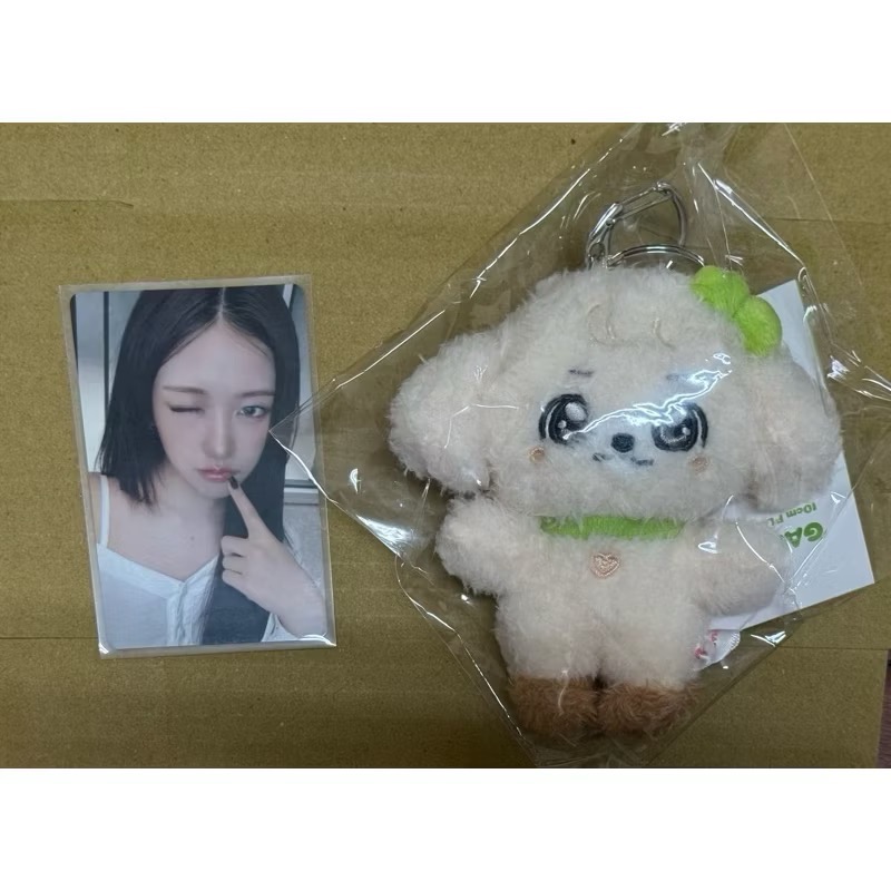 豆福《現⭕️貨》IVE Minive school 首爾釜山快閃店校服娃娃 俞真秋天Rei 員瑛 Liz Leeseo-規格圖1