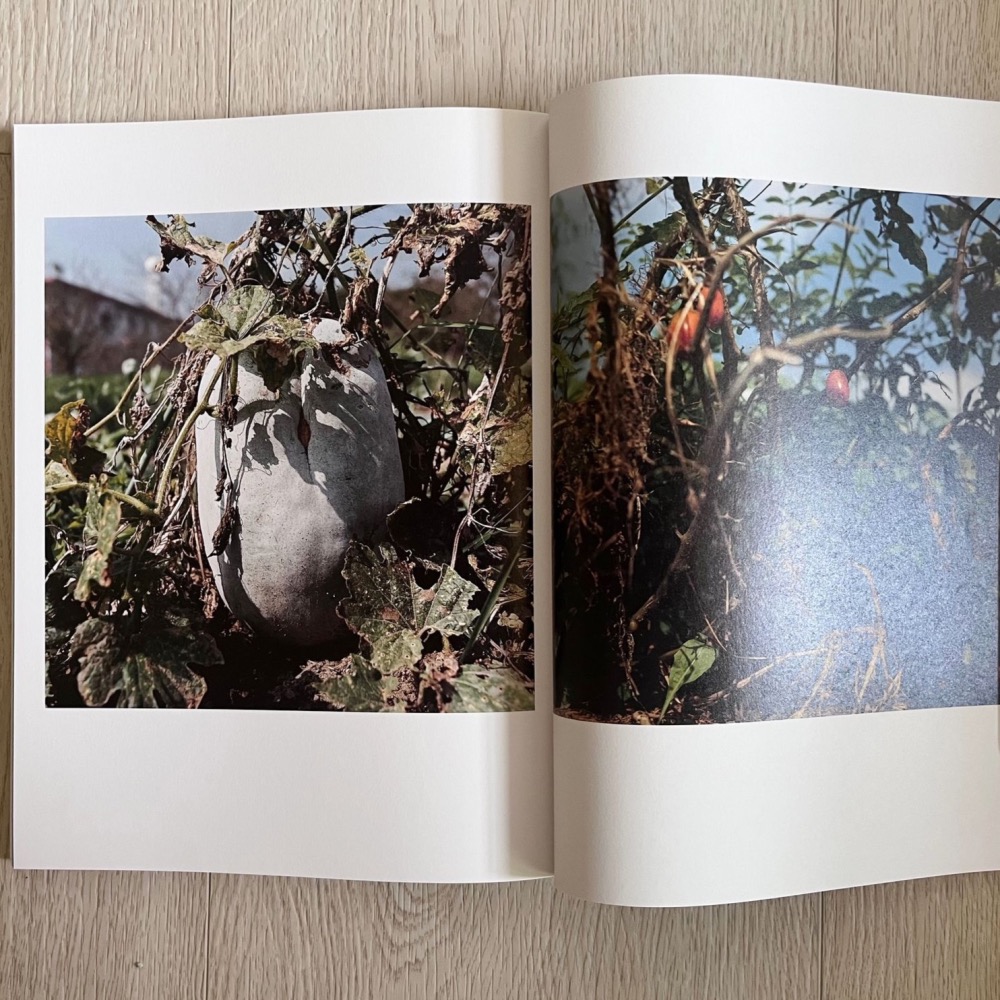 [相機小賣所] Photo Graphica 第14期 2009年春 若木信吾 Takuji New Select-細節圖6