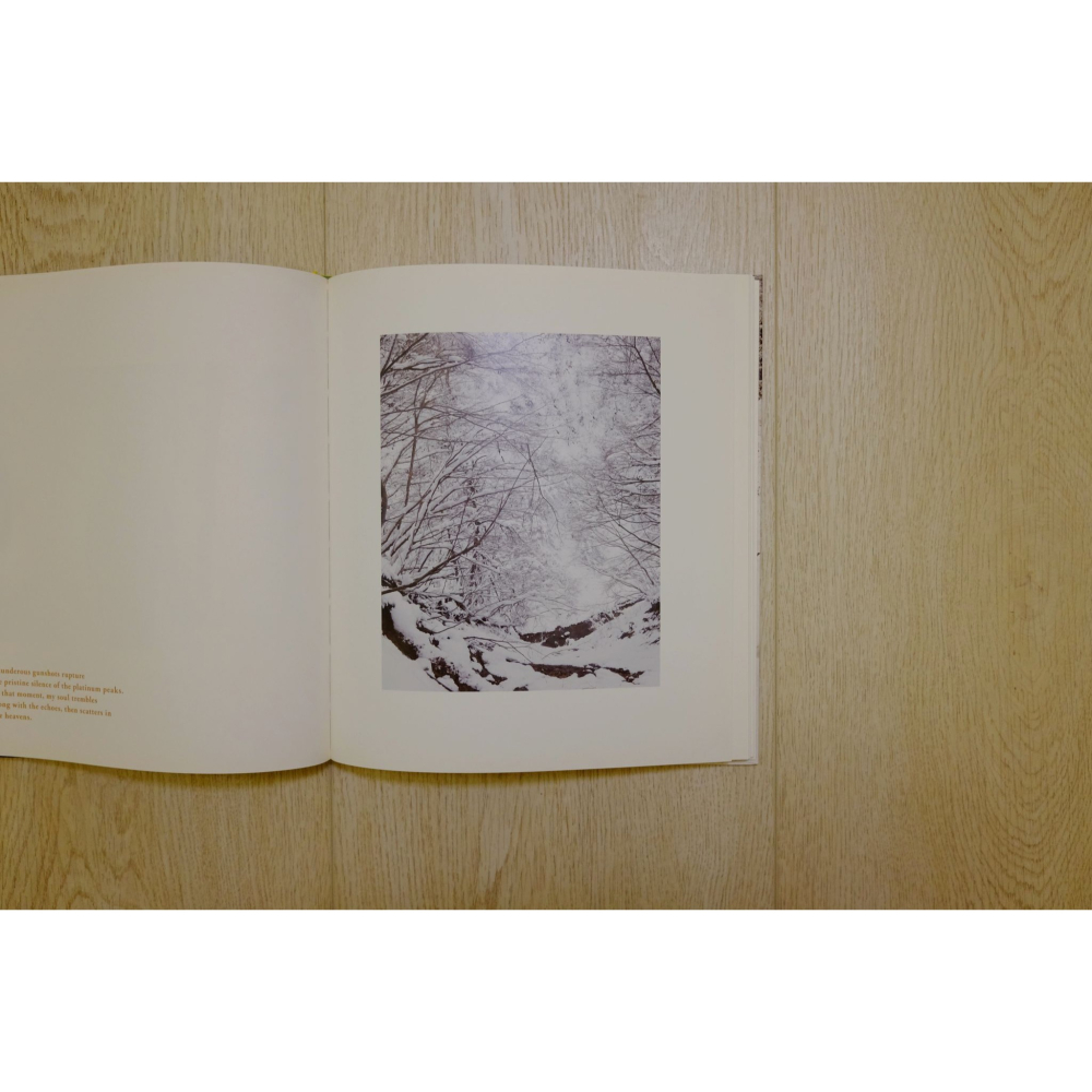 [相機小賣所]  野村恵子 小谷-純淨山峰 Otari: Pristine Peaks - Keiko NOMURA-細節圖6