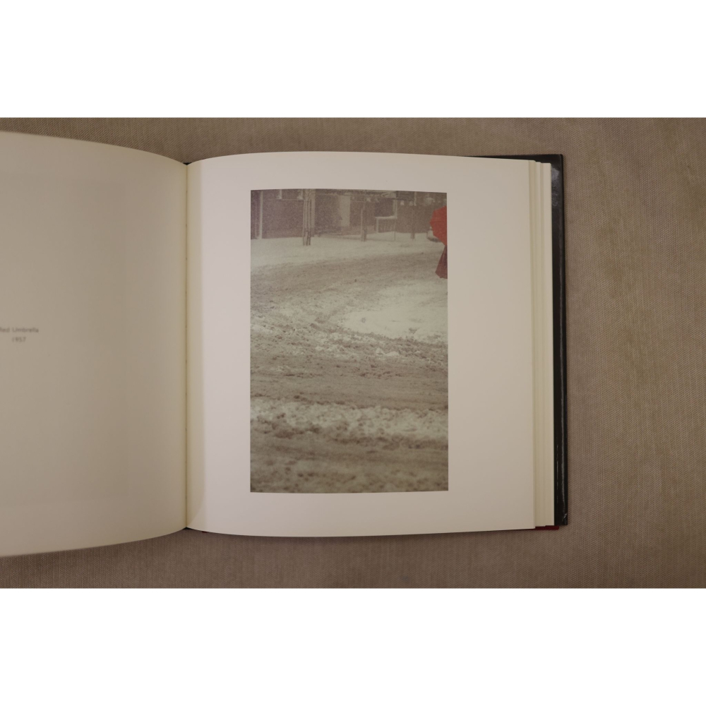 [大師寫真] Early Color by Saul Leiter 德文版-細節圖8