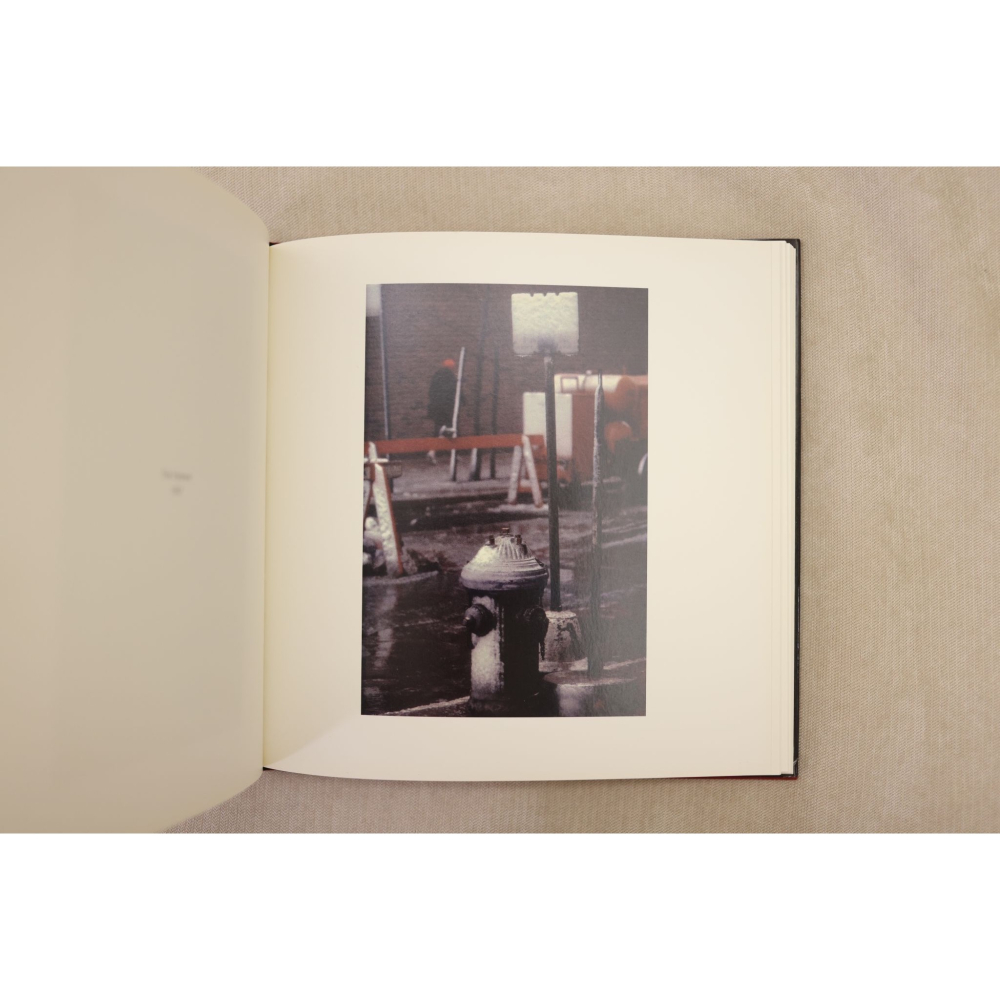 [大師寫真] Early Color by Saul Leiter 德文版-細節圖10