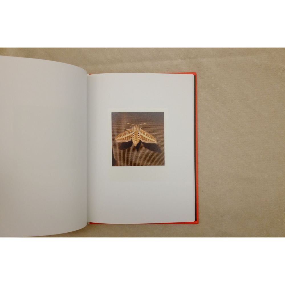 寶麗來 Polaroid 創作攝影集 Mike Slack Pyramids B874.MS70.5312-細節圖4