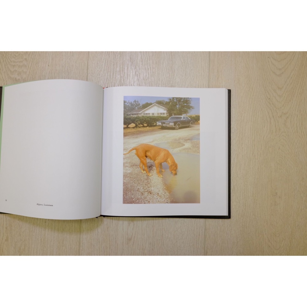 William Eggleston＇s Guide B874.WE39.3782-細節圖3